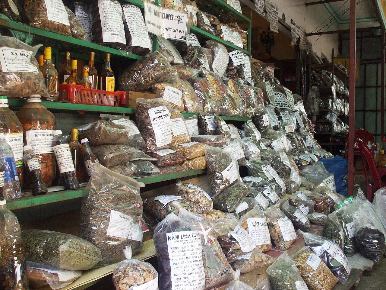 Một cửa hàng thuốc Nam ở Việt Nam — kho dược liệu phong phú mà ông cha ta đã dày công đúc kết.